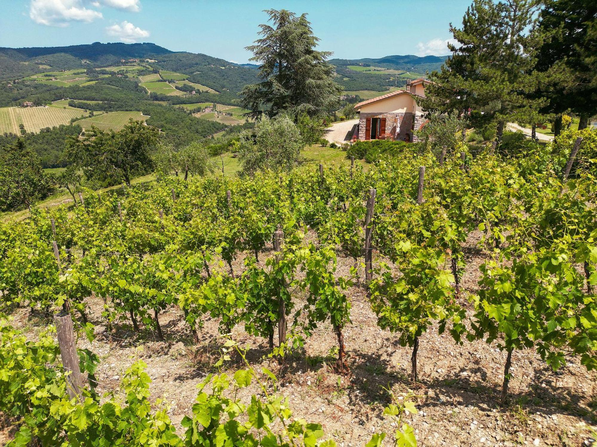Tenuta Il Poggetto ラッダ・イン・キアンティ エクステリア 写真