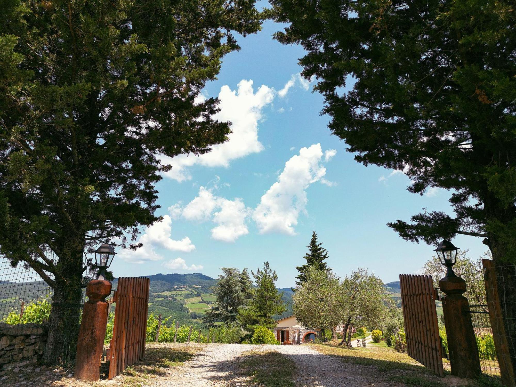 Tenuta Il Poggetto ラッダ・イン・キアンティ エクステリア 写真